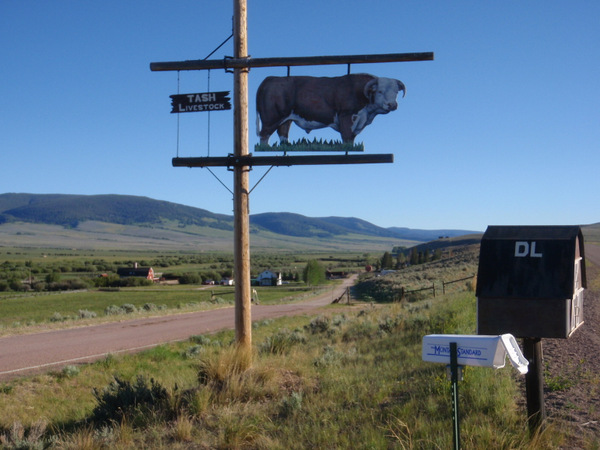 Tash Ranch Gateway - Nice Herford Bull.